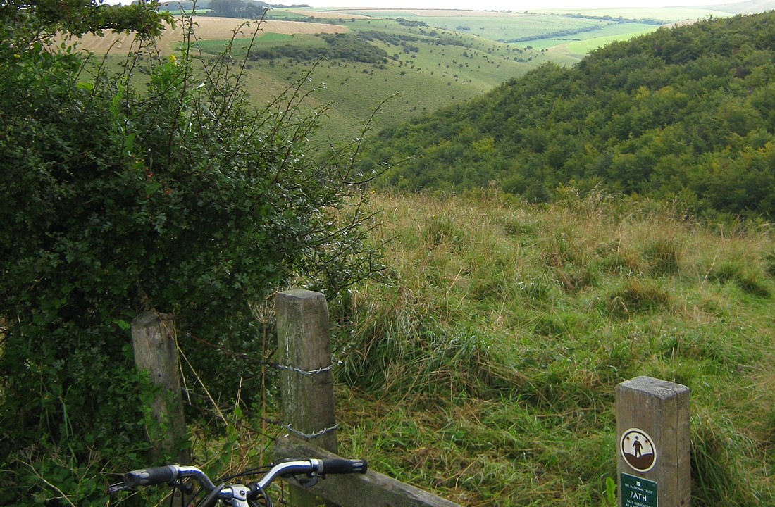 Melbury Down