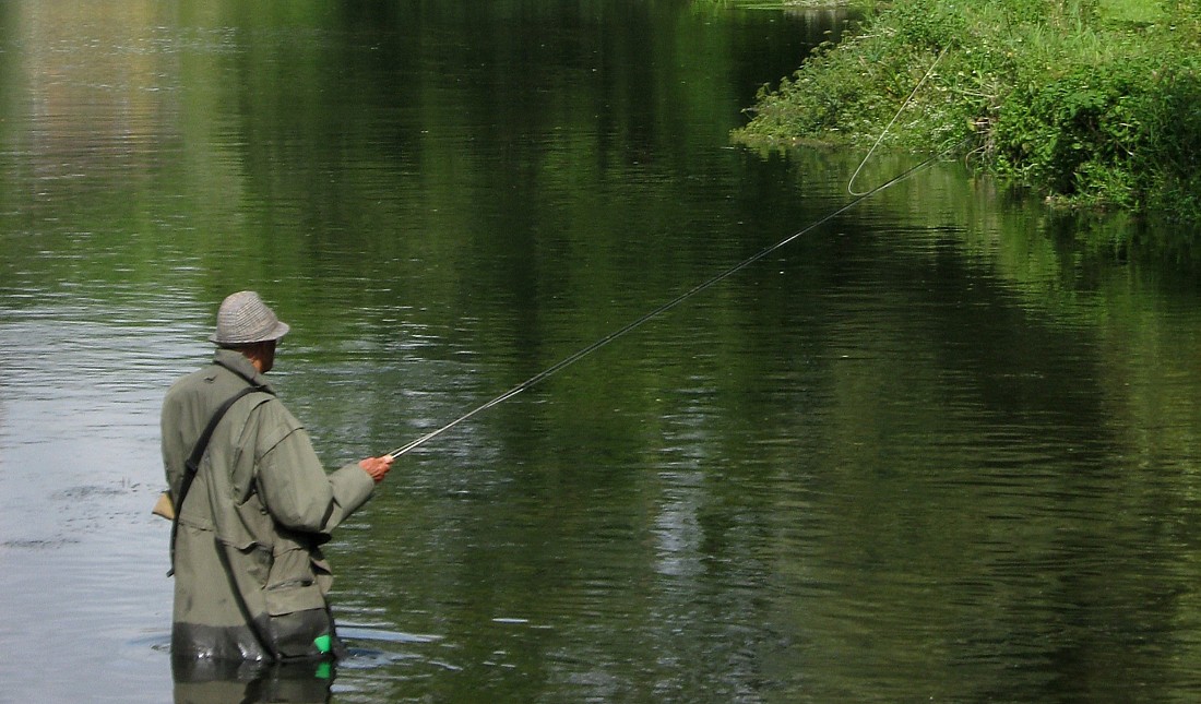 Casting a fly on the Avon
