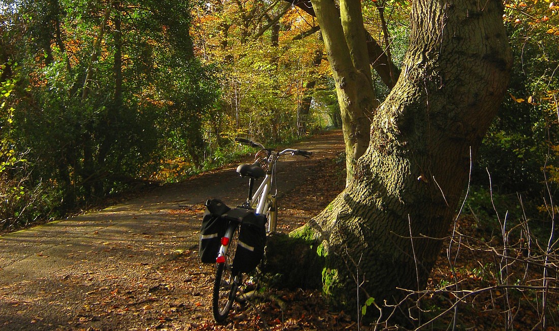 Netley Country Park Walkway
