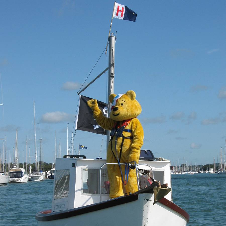 Pudsey on Retriever